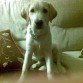 4 meses